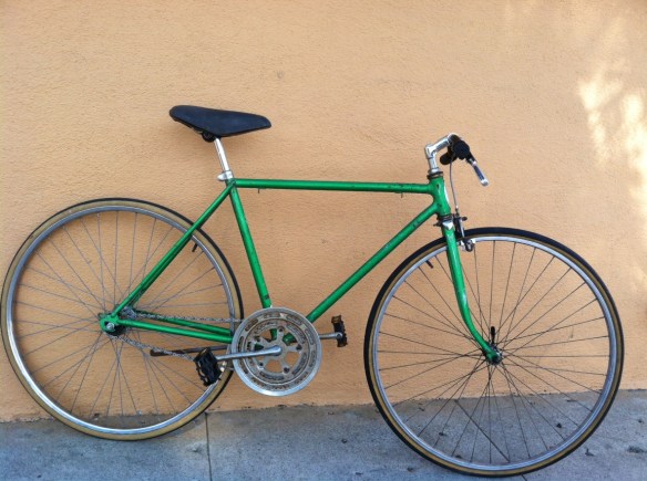 Single Speed Schwinn Thrasher Model